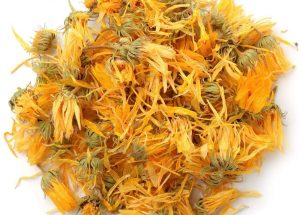 Calendula 1