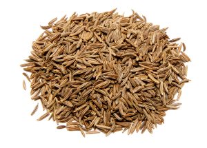 Caraway 1